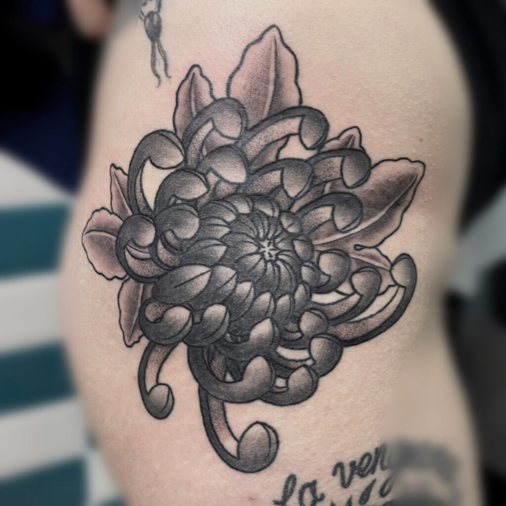 Tatouage style traditionnel en noir et gris d'une fleur chrysanthème japonais